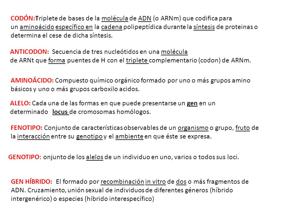 CODÓN:Triplete de bases de la molécula de ADN (o ARNm) que codifica para un aminoácido específico en la cadena polipeptídica durante la síntesis de proteinas o determina el cese de dicha síntesis.
