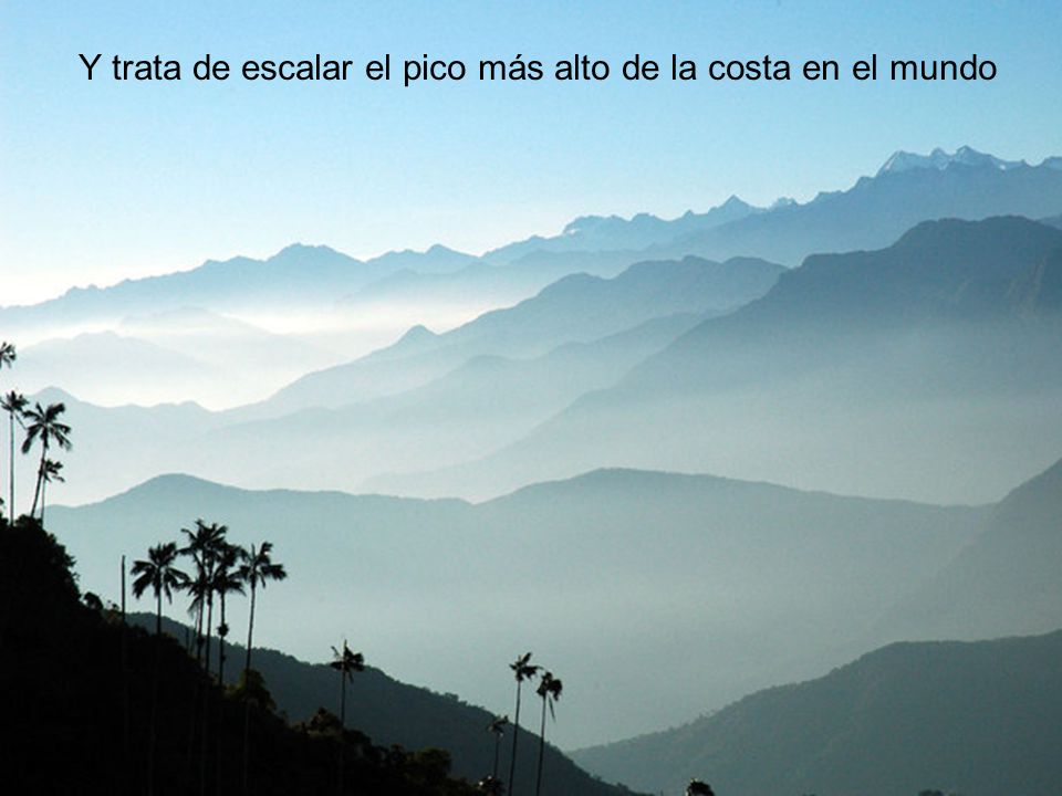Y trata de escalar el pico más alto de la costa en el mundo