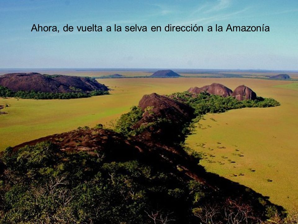 Ahora, de vuelta a la selva en dirección a la Amazonía