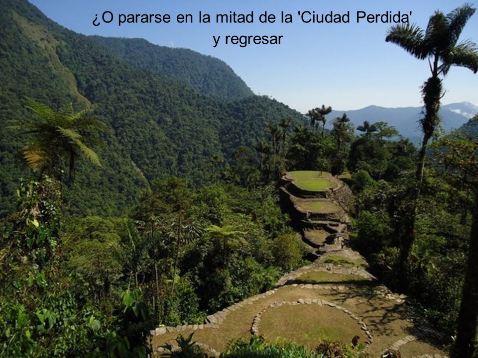 ¿O pararse en la mitad de la Ciudad Perdida y regresar