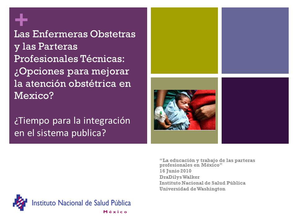 Las Enfermeras Obstetras y las Parteras Profesionales Técnicas: ¿Opciones para mejorar la atención obstétrica en Mexico ¿Tiempo para la integración en el sistema publica