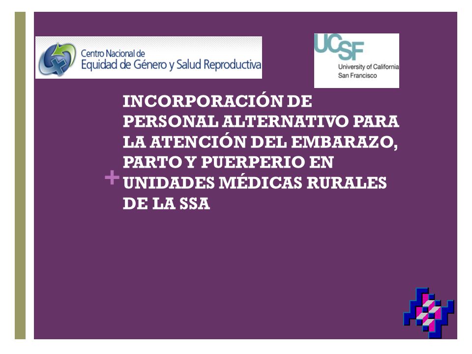 INCORPORACIÓN DE PERSONAL ALTERNATIVO PARA LA ATENCIÓN DEL EMBARAZO, PARTO Y PUERPERIO EN UNIDADES MÉDICAS RURALES DE LA SSA