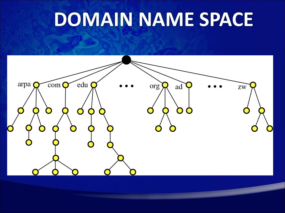 Domain name space