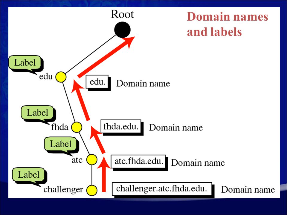 Domain names and labels