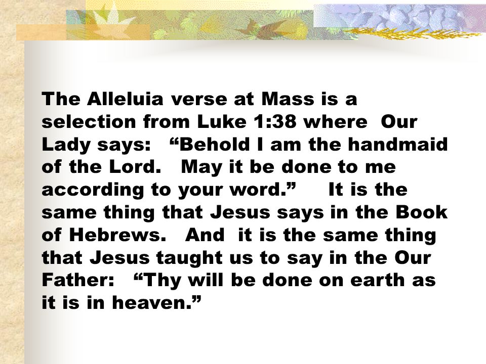 The Alleluia verse at Mass is a selection from Luke 1:38 where Our Lady says: Behold I am the handmaid of the Lord.
