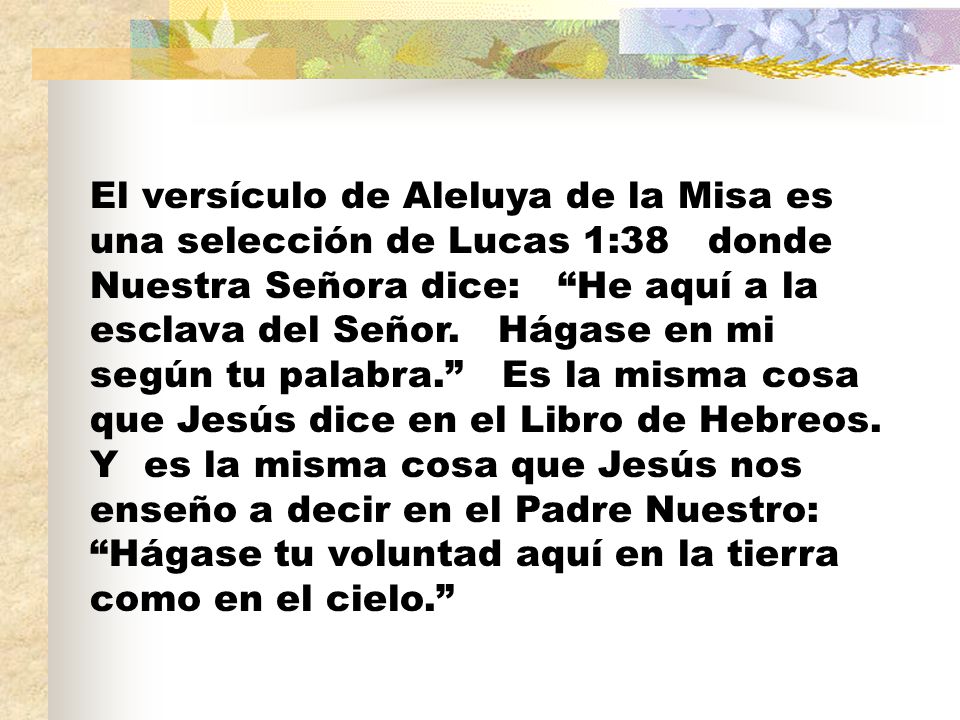 El versículo de Aleluya de la Misa es una selección de Lucas 1:38 donde Nuestra Señora dice: He aquí a la esclava del Señor.