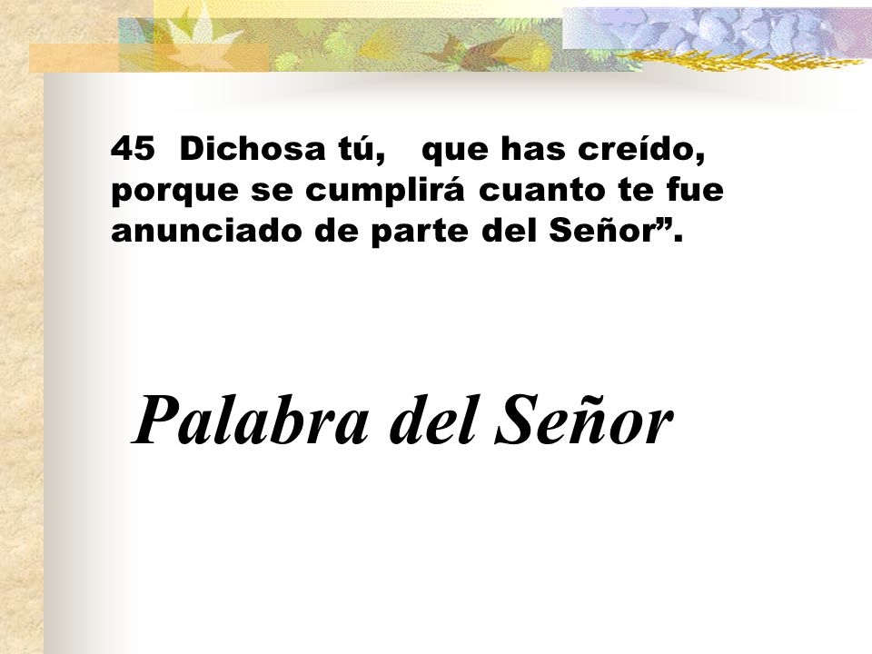45 Dichosa tú, que has creído, porque se cumplirá cuanto te fue anunciado de parte del Señor .