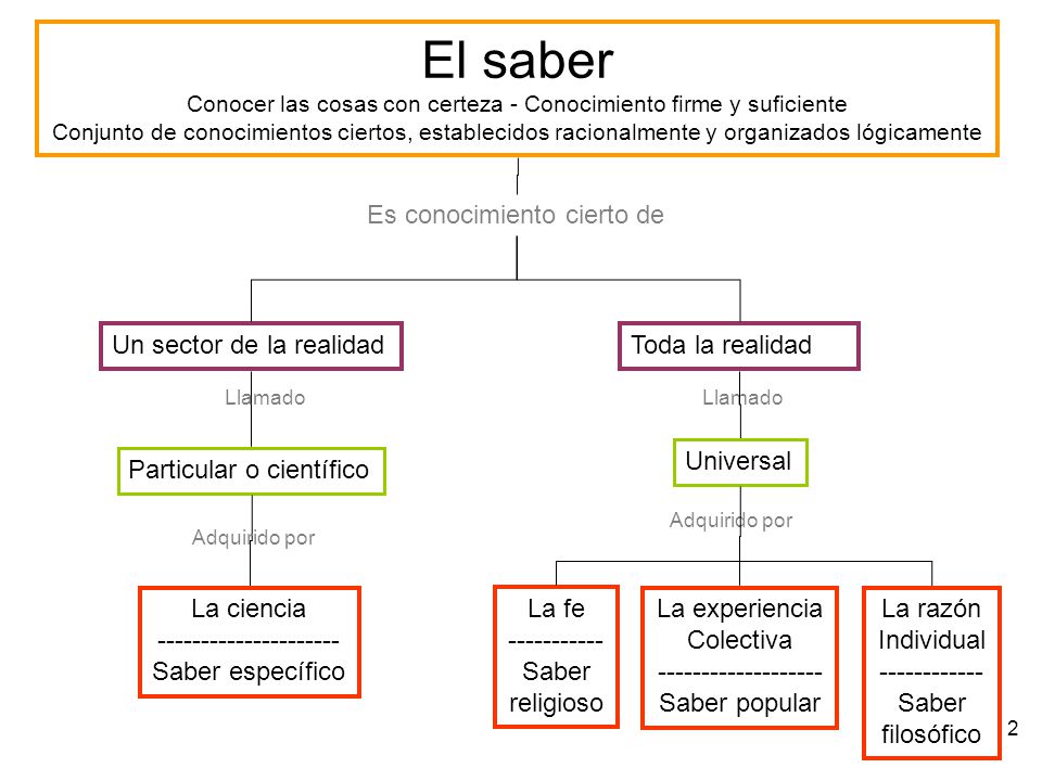 El saber Es conocimiento cierto de Un sector de la realidad