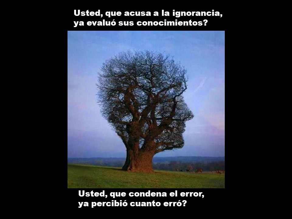 Usted, que acusa a la ignorancia, ya evaluó sus conocimientos