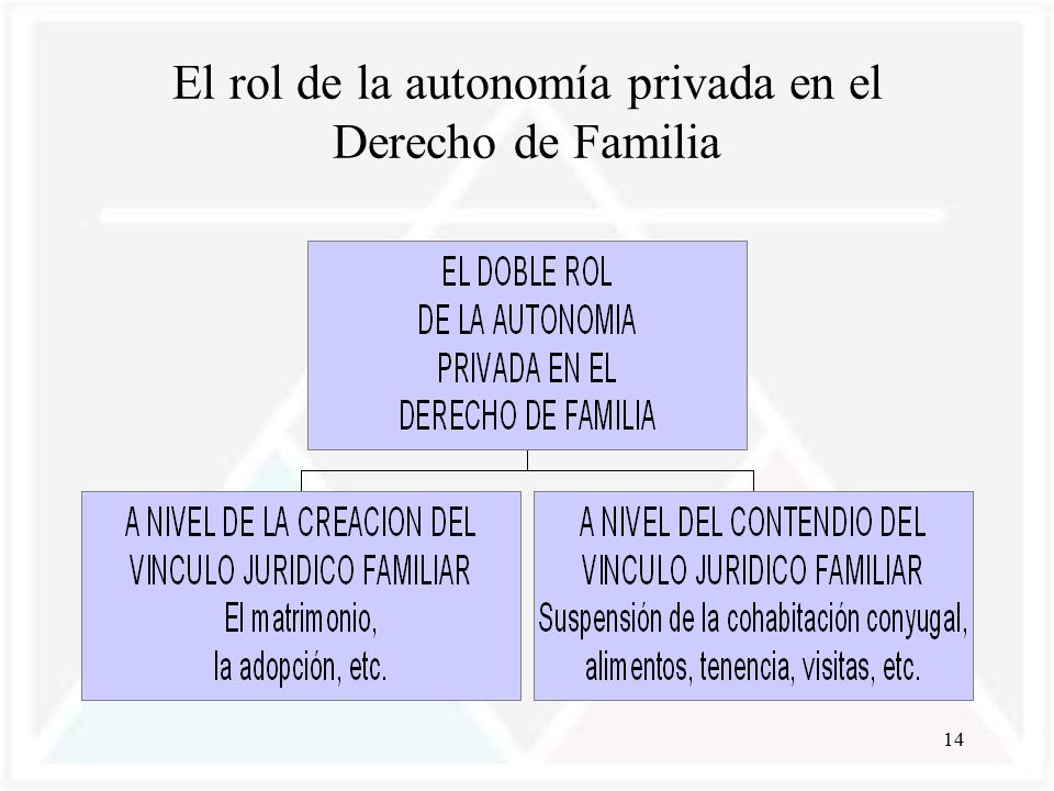 El rol de la autonomía privada en el Derecho de Familia