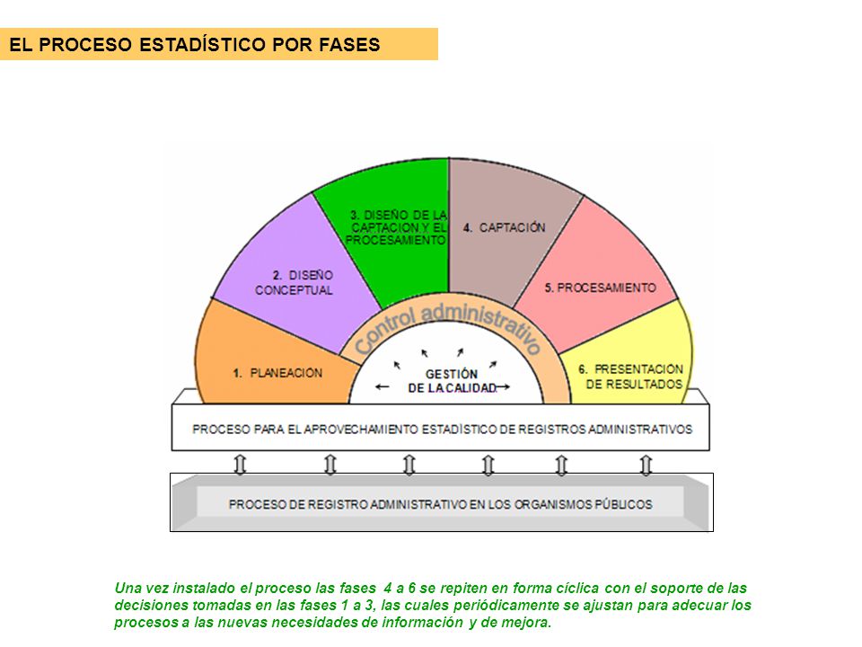 EL PROCESO ESTADÍSTICO POR FASES