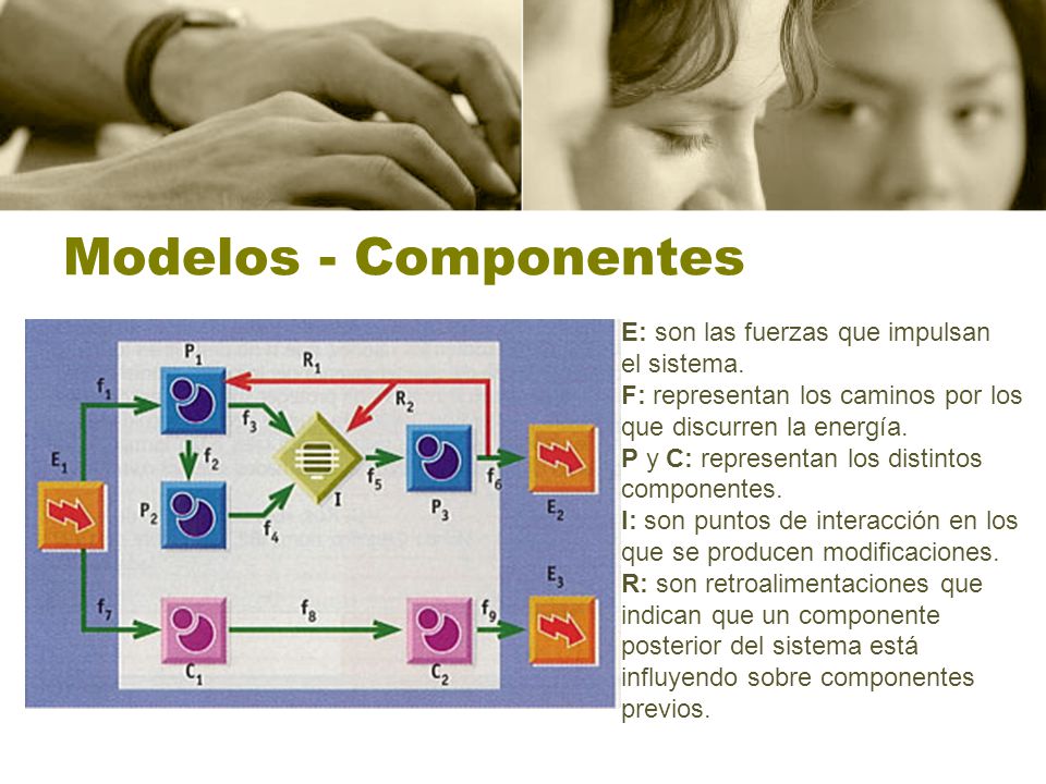 Modelos - Componentes E: son las fuerzas que impulsan el sistema.