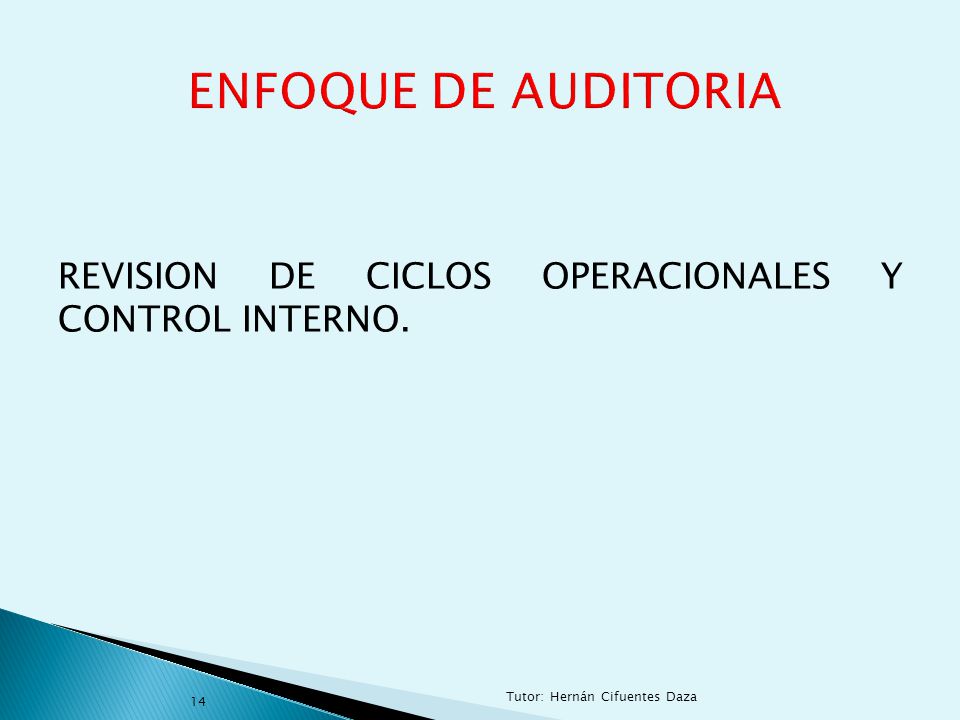 ENFOQUE DE AUDITORIA REVISION DE CICLOS OPERACIONALES Y CONTROL INTERNO.