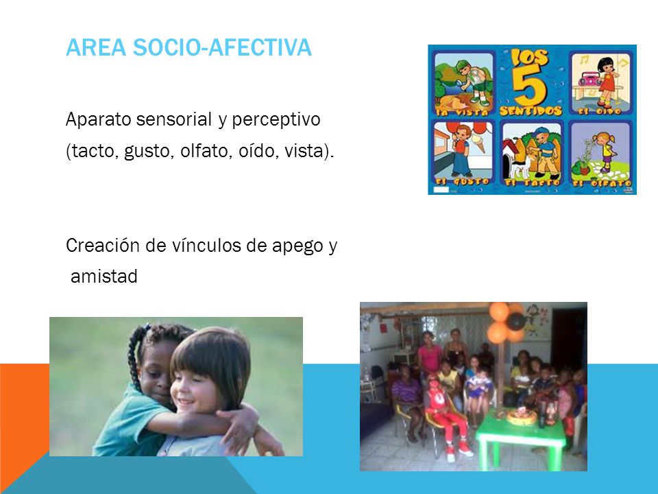 AREA SOCIO-AFECTIVA Aparato sensorial y perceptivo (tacto, gusto, olfato, oído, vista).