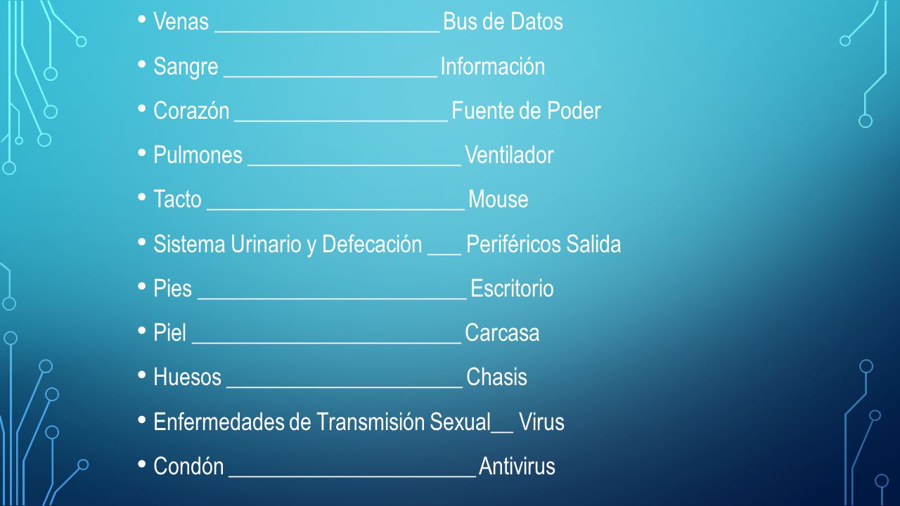 Venas ____________________ Bus de Datos