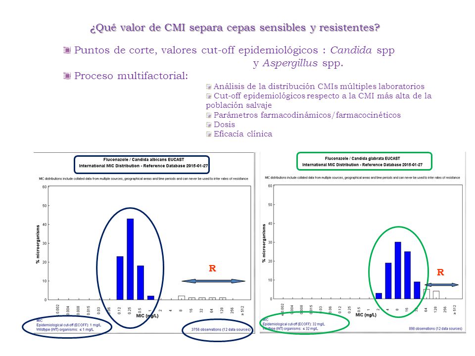 ¿Qué valor de CMI separa cepas sensibles y resistentes