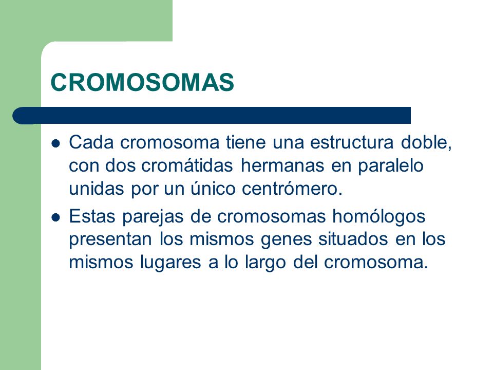 CROMOSOMAS Cada cromosoma tiene una estructura doble, con dos cromátidas hermanas en paralelo unidas por un único centrómero.