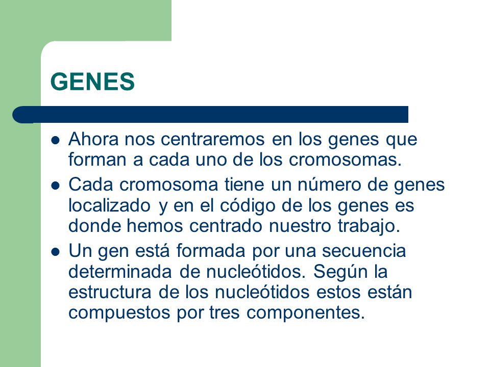 GENES Ahora nos centraremos en los genes que forman a cada uno de los cromosomas.