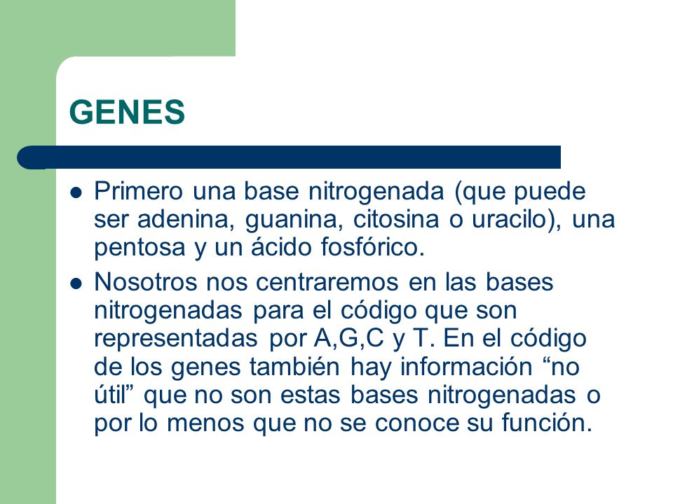 GENES Primero una base nitrogenada (que puede ser adenina, guanina, citosina o uracilo), una pentosa y un ácido fosfórico.