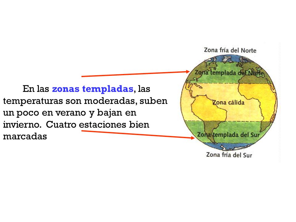 En las zonas templadas, las temperaturas son moderadas, suben un poco en verano y bajan en invierno.