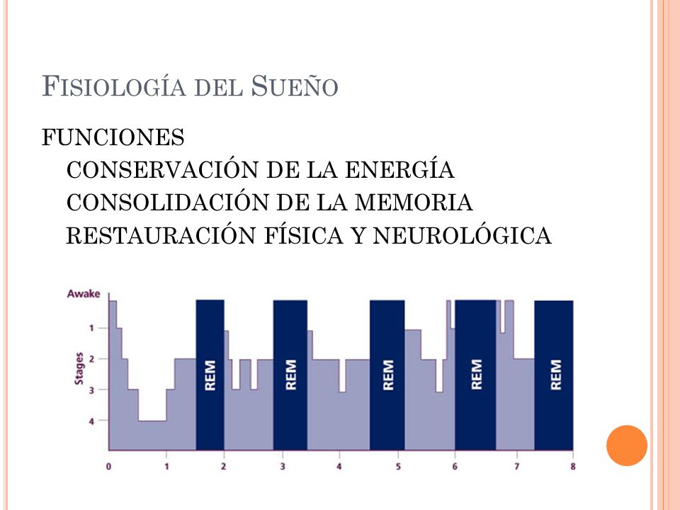 Fisiología del Sueño FUNCIONES CONSERVACIÓN DE LA ENERGÍA CONSOLIDACIÓN DE LA MEMORIA RESTAURACIÓN FÍSICA Y NEUROLÓGICA