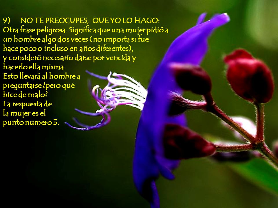 9) NO TE PREOCUPES, QUE YO LO HAGO: Otra frase peligrosa