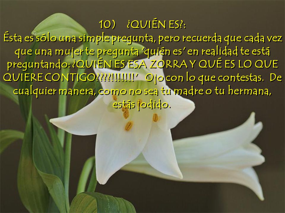 10) ¿QUIÉN ES : Ésta es sólo una simple pregunta, pero recuerda que cada vez que una mujer te pregunta quién es en realidad te está preguntando: ¿QUIÉN ES ESA ZORRA Y QUÉ ES LO QUE QUIERE CONTIGO !!!!!!! Ojo con lo que contestas.