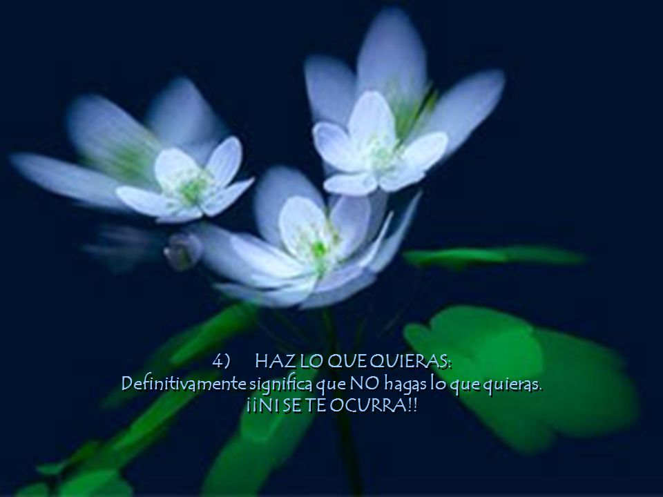 4) HAZ LO QUE QUIERAS: Definitivamente significa que NO hagas lo que quieras. ¡¡NI SE TE OCURRA!!