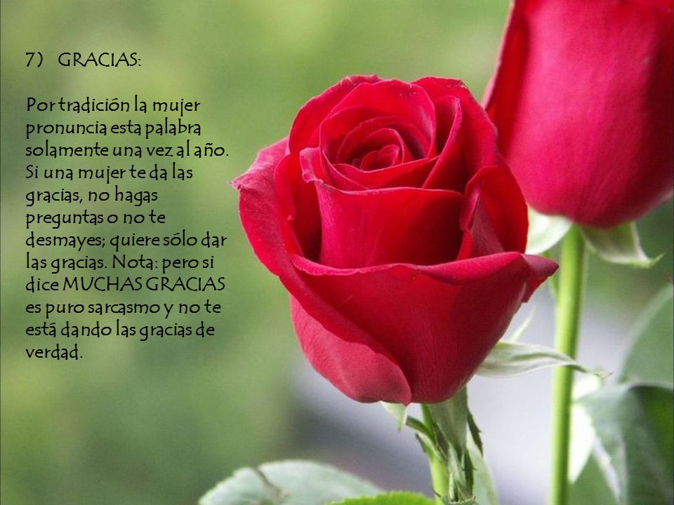 7) GRACIAS: Por tradición la mujer pronuncia esta palabra solamente una vez al año.
