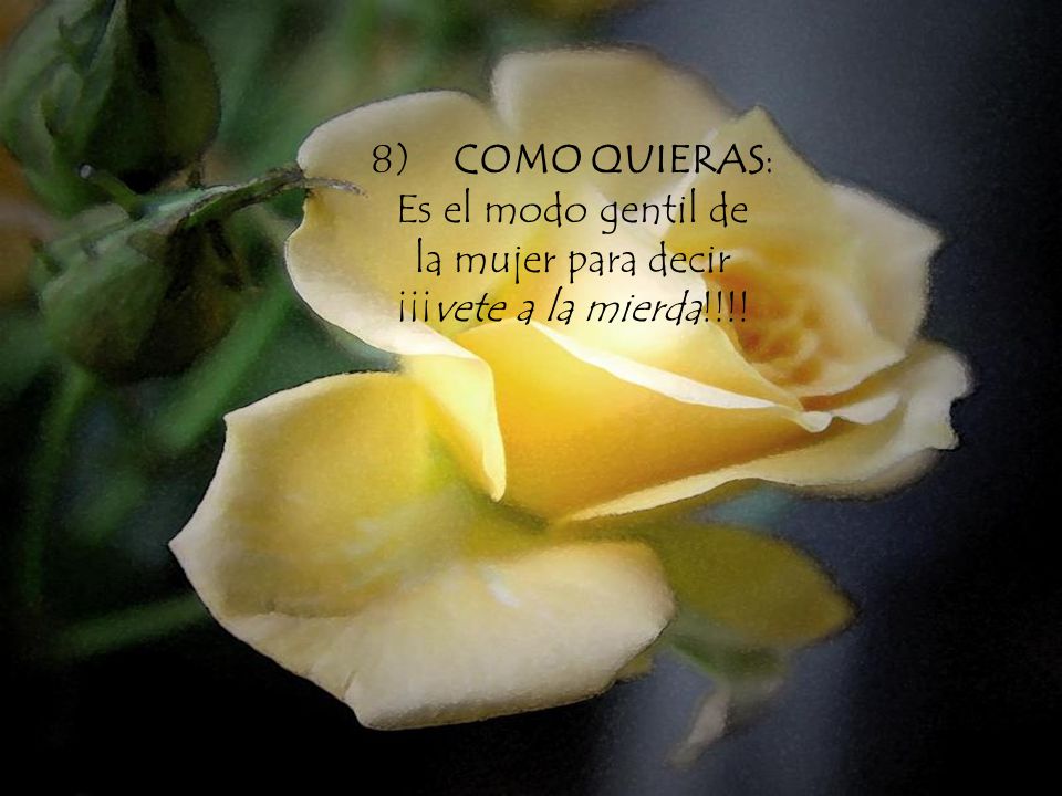 8) COMO QUIERAS: Es el modo gentil de la mujer para decir ¡¡¡vete a la mierda!!!!