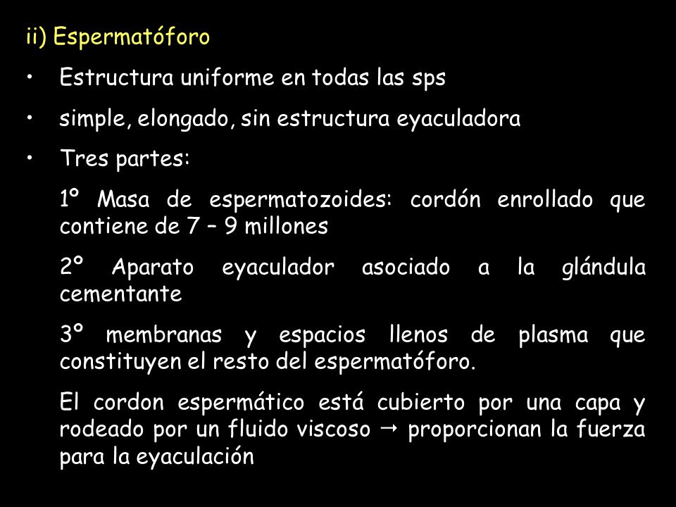 ii) Espermatóforo Estructura uniforme en todas las sps. simple, elongado, sin estructura eyaculadora.