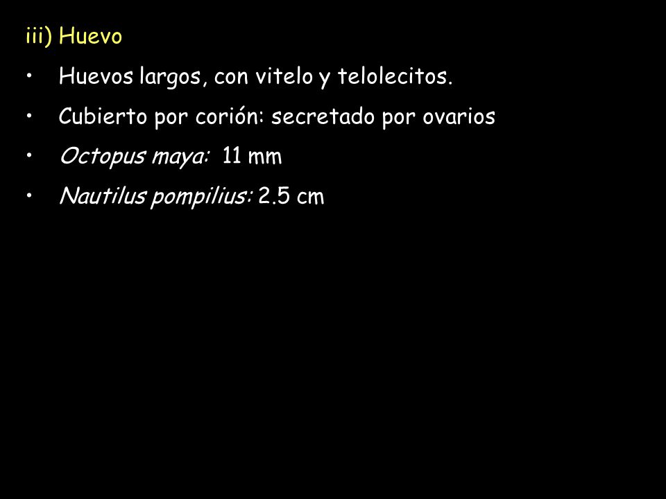 iii) Huevo Huevos largos, con vitelo y telolecitos. Cubierto por corión: secretado por ovarios. Octopus maya: 11 mm.