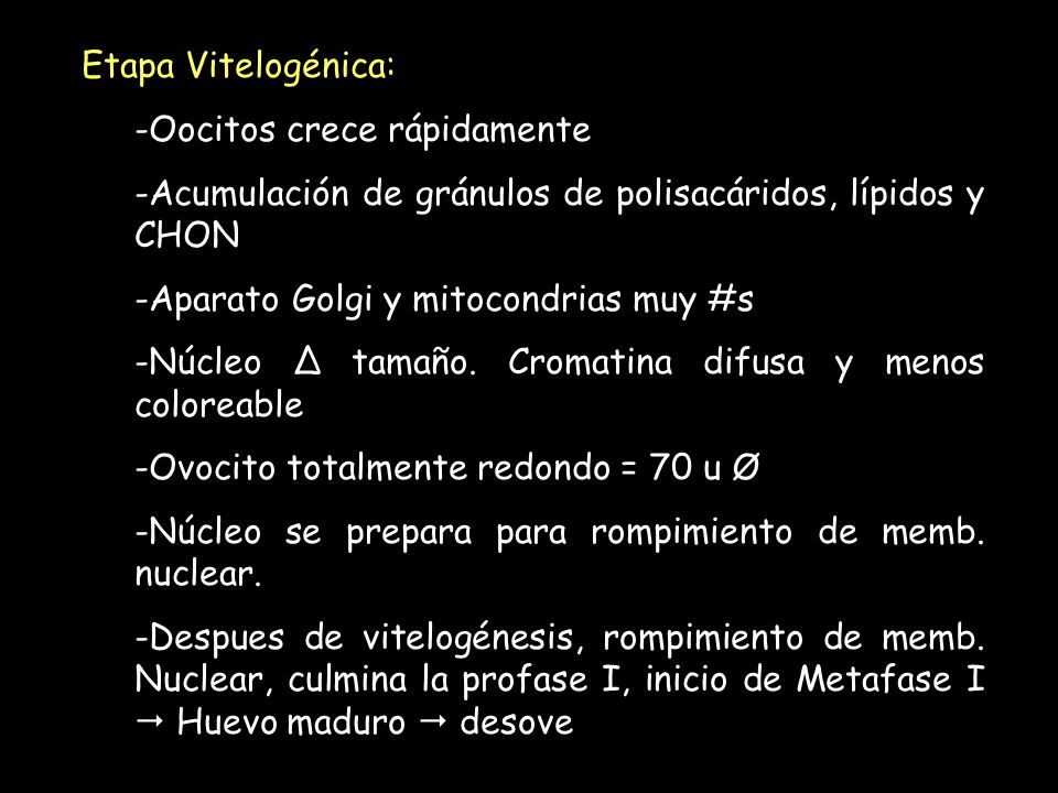 Etapa Vitelogénica: Oocitos crece rápidamente. Acumulación de gránulos de polisacáridos, lípidos y CHON.