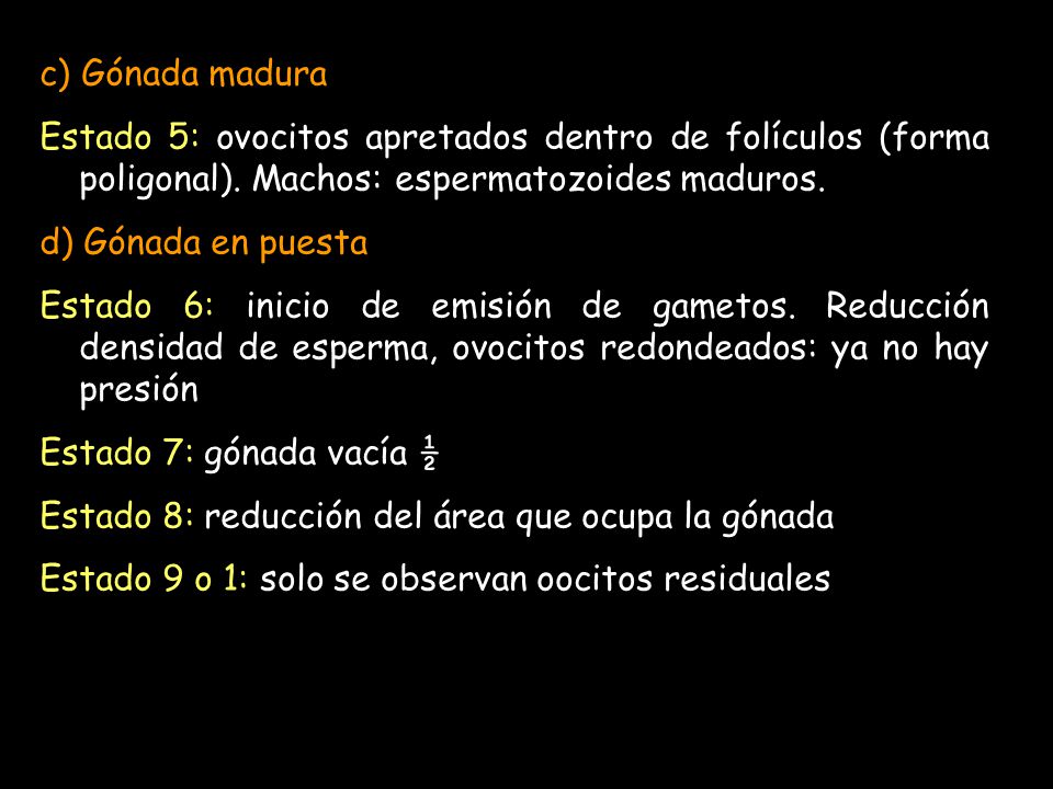 c) Gónada madura Estado 5: ovocitos apretados dentro de folículos (forma poligonal). Machos: espermatozoides maduros.