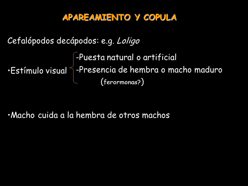 APAREAMIENTO Y COPULA Cefalópodos decápodos: e.g. Loligo. Estímulo visual. Macho cuida a la hembra de otros machos.