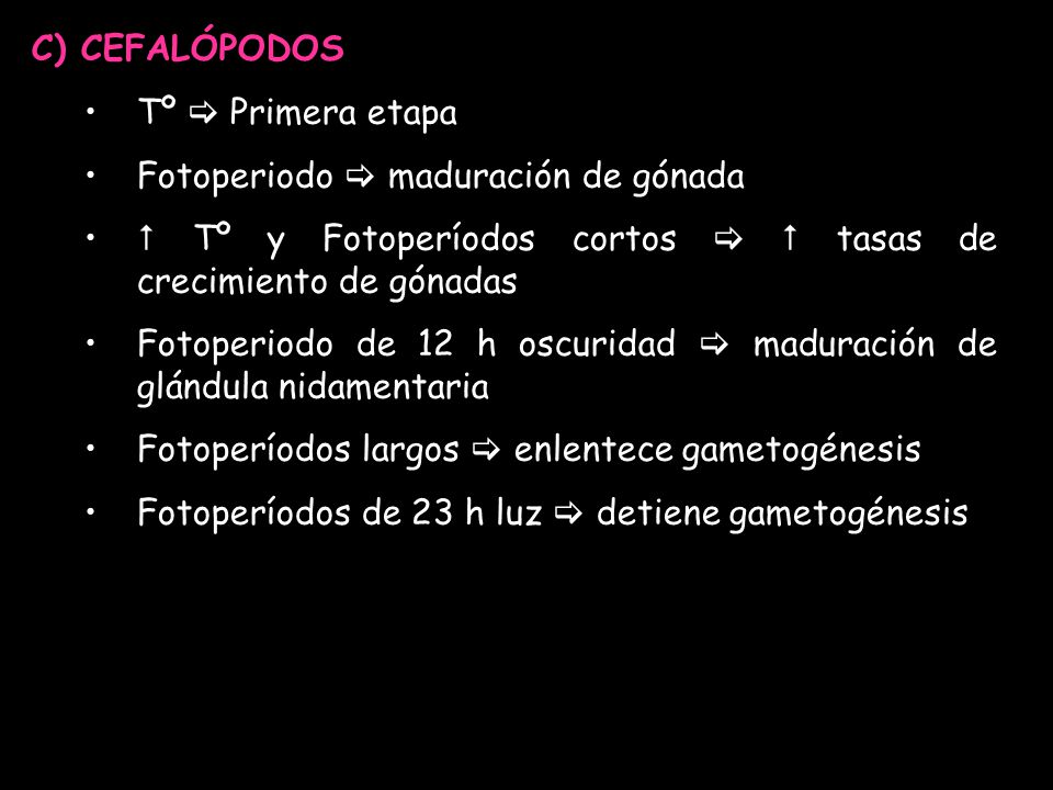C) CEFALÓPODOS Tº  Primera etapa. Fotoperiodo  maduración de gónada.  Tº y Fotoperíodos cortos   tasas de crecimiento de gónadas.