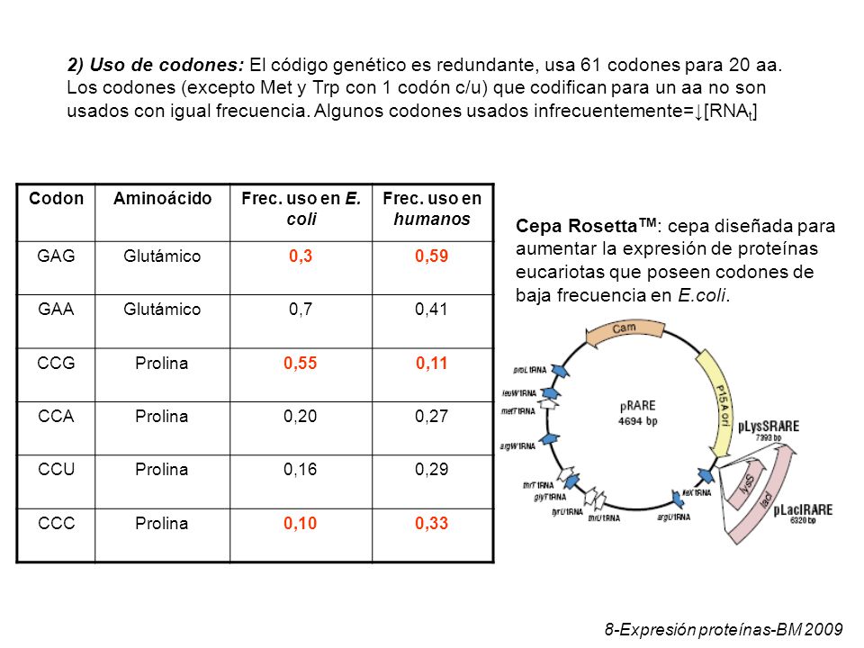 2) Uso de codones: El código genético es redundante, usa 61 codones para 20 aa.