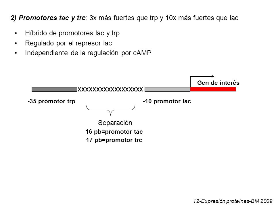 Híbrido de promotores lac y trp Regulado por el represor lac