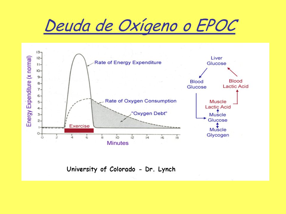 Deuda de Oxígeno o EPOC University of Colorado - Dr. Lynch