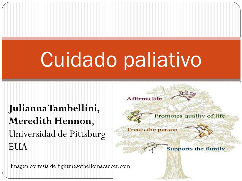 Cuidado paliativo Julianna Tambellini, Meredith Hennon, Universidad de Pittsburg. EUA.