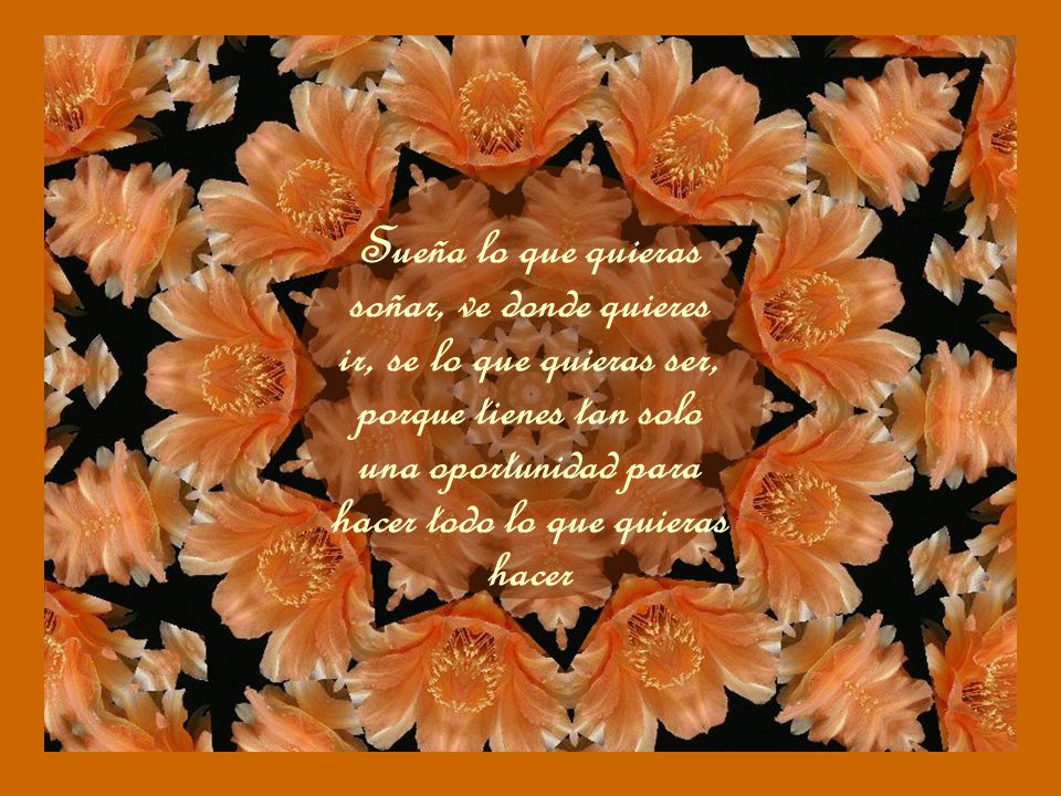 Sueña lo que quieras soñar, ve donde quieres ir, se lo que quieras ser, porque tienes tan solo una oportunidad para hacer todo lo que quieras hacer