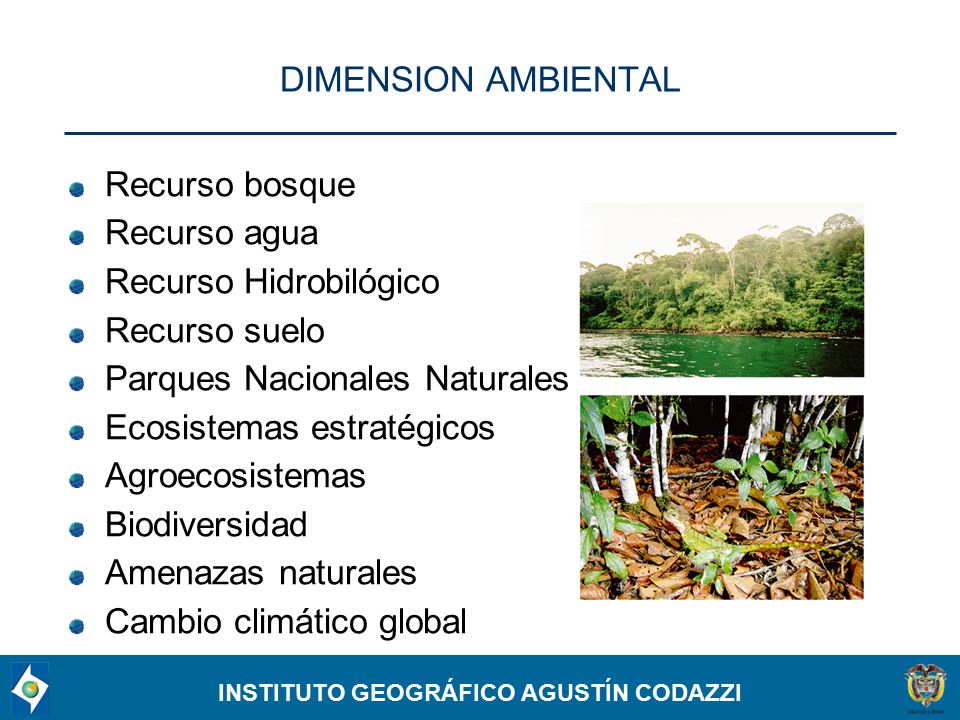 DIMENSION AMBIENTAL Recurso bosque. Recurso agua. Recurso Hidrobilógico. Recurso suelo. Parques Nacionales Naturales.