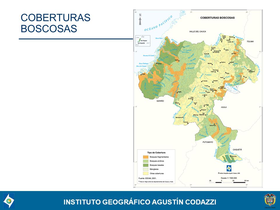 COBERTURAS BOSCOSAS