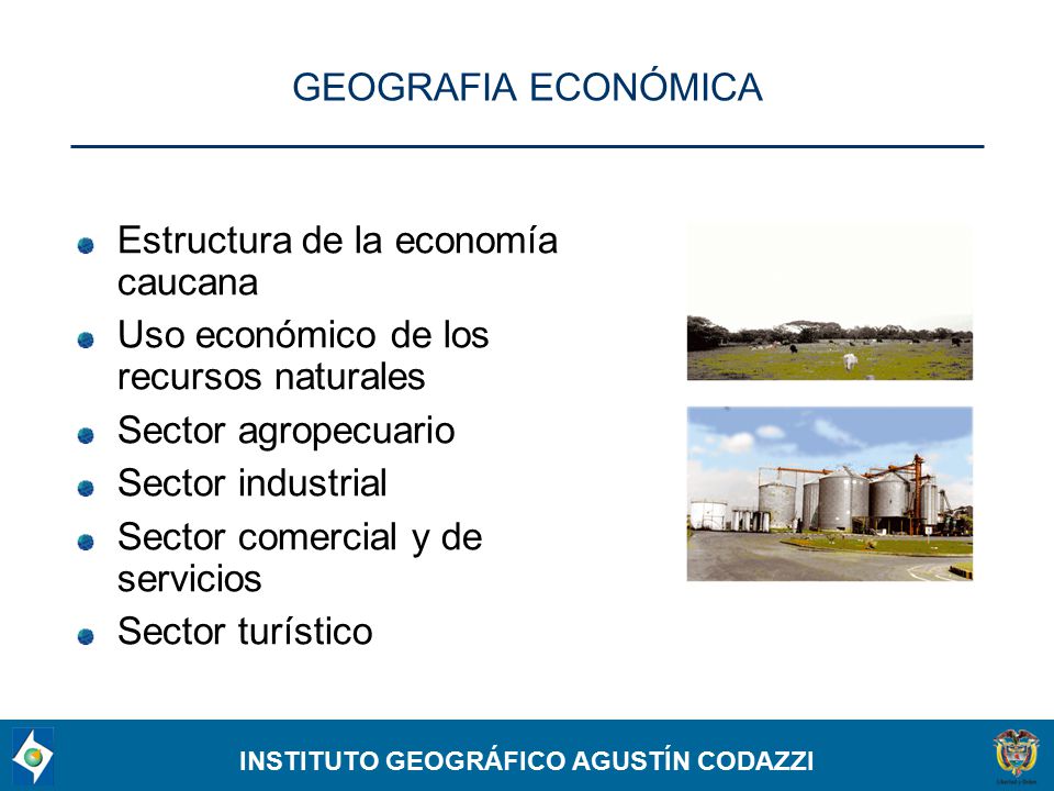 GEOGRAFIA ECONÓMICA Estructura de la economía caucana. Uso económico de los recursos naturales. Sector agropecuario.