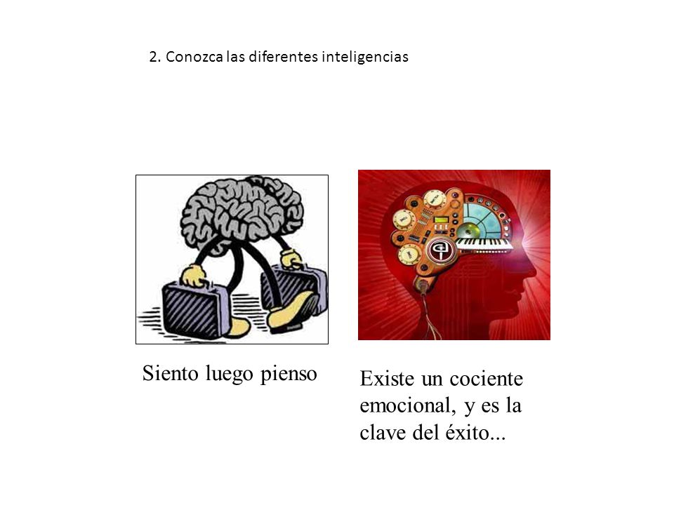 Existe un cociente emocional, y es la clave del éxito...