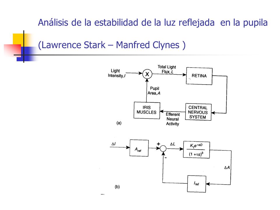 Análisis de la estabilidad de la luz reflejada en la pupila (Lawrence Stark – Manfred Clynes )