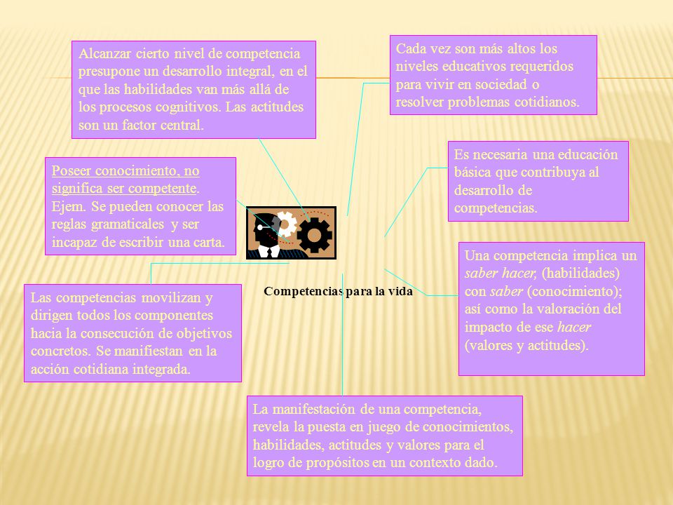 Cada vez son más altos los niveles educativos requeridos para vivir en sociedad o resolver problemas cotidianos.