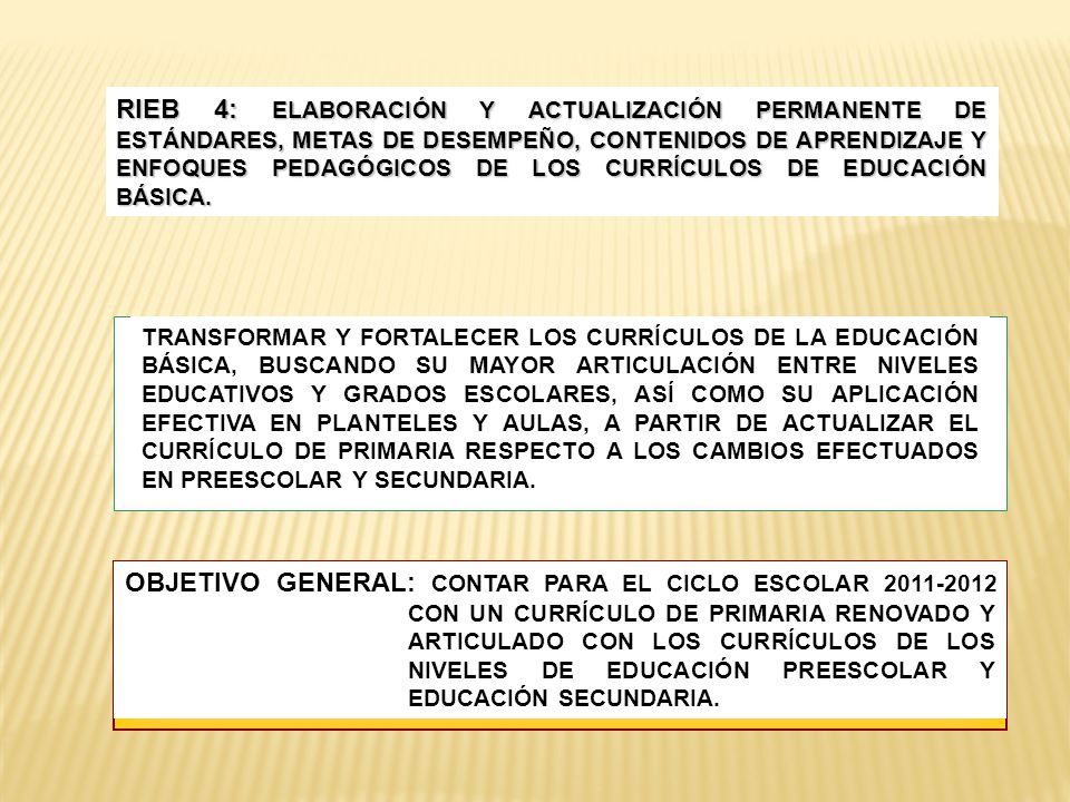 RIEB 4: ELABORACIÓN Y ACTUALIZACIÓN PERMANENTE DE ESTÁNDARES, METAS DE DESEMPEÑO, CONTENIDOS DE APRENDIZAJE Y ENFOQUES PEDAGÓGICOS DE LOS CURRÍCULOS DE EDUCACIÓN BÁSICA.