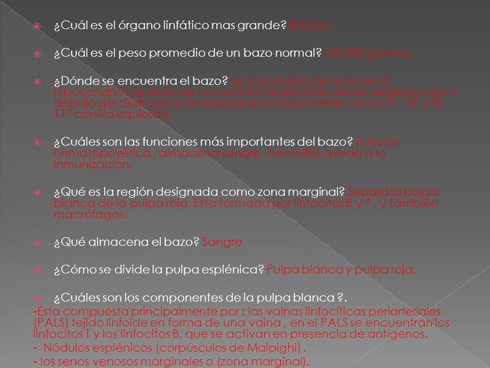 ¿Cuál es el órgano linfático mas grande El bazo.