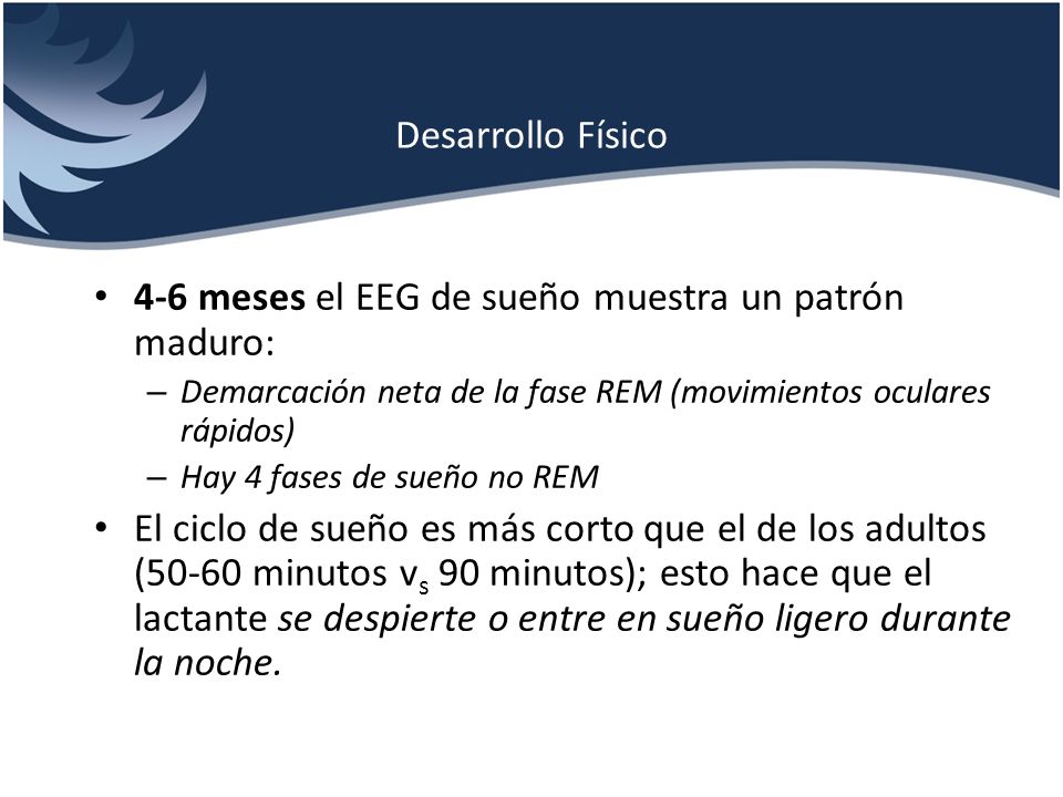 Desarrollo Físico 4-6 meses el EEG de sueño muestra un patrón maduro: